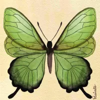 Borboleta verde