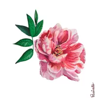 Flor rosa