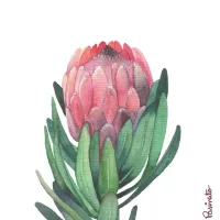 Protea