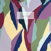 Penas - Deixe fluir